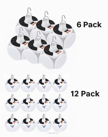 Solar LED Outdoor Light