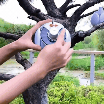Eco-Friendly Solar Light