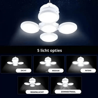 Eco-Friendly Solar Light