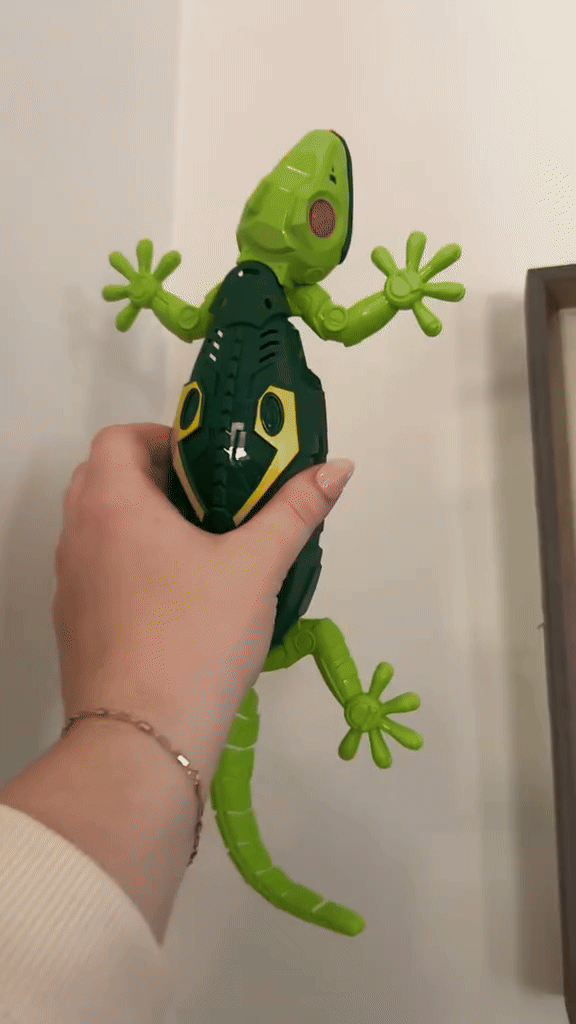 Gecko Adventure Toy Pack